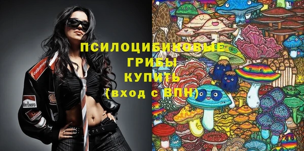 прущая мука Армянск