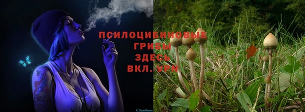 MDMA Арсеньев