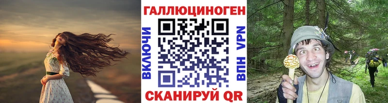 наркотики Сасово Псилоцибиновые грибы прущие грибы